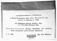 Image Associated With the Occurence
